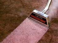 CarpeTiem Professional Carpet Cleaning Services 355873 Image 1